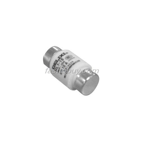 RL1-60 60A Delixi Fuse NEW