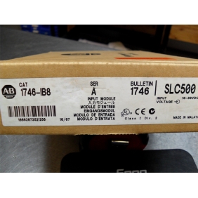 NEW Original 1746-IB8 AB Allen-Bradley SLC 8 Point DC Input Module Unopened Box